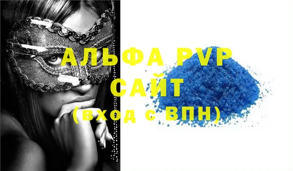 молекула духа Новодвинск