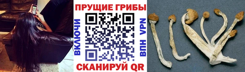 Галлюциногенные грибы MAGIC MUSHROOMS  Орлов 